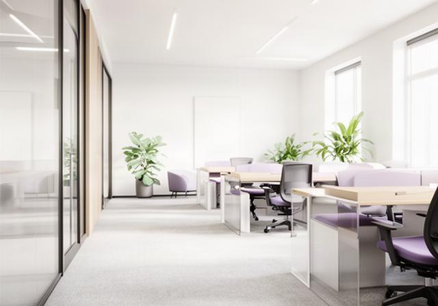 Freshly deep-cleaned office with spotless carpet, clean chairs, and bright natural light